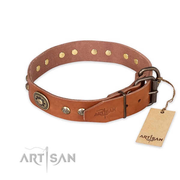 Corrosion proof buckle on full grain natural leather collar for stylish walking your doggie