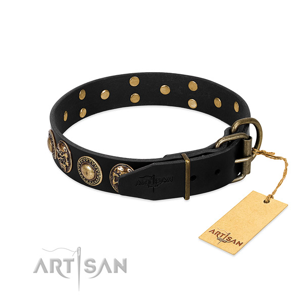 Corrosion resistant adornments on comfy wearing dog collar