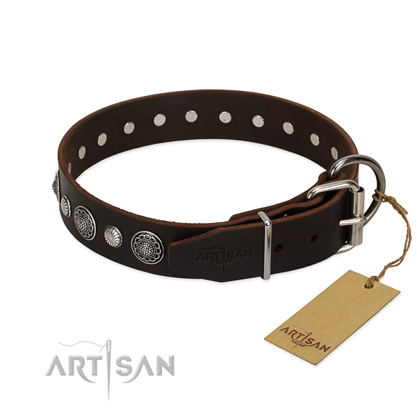 High quality leather dog collar with remarkable studs