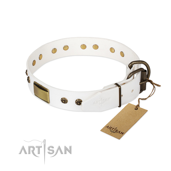 Genuine leather dog collar with rust resistant hardware and embellishments