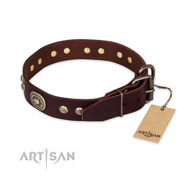 Rust resistant hardware on genuine leather collar for stylish walking your pet