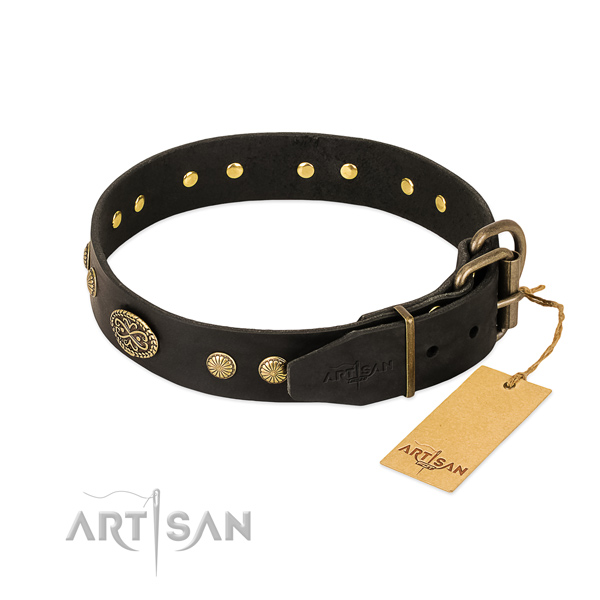 Durable embellishments on genuine leather dog collar for your pet