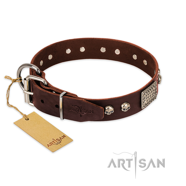 Strong buckle on stylish walking dog collar