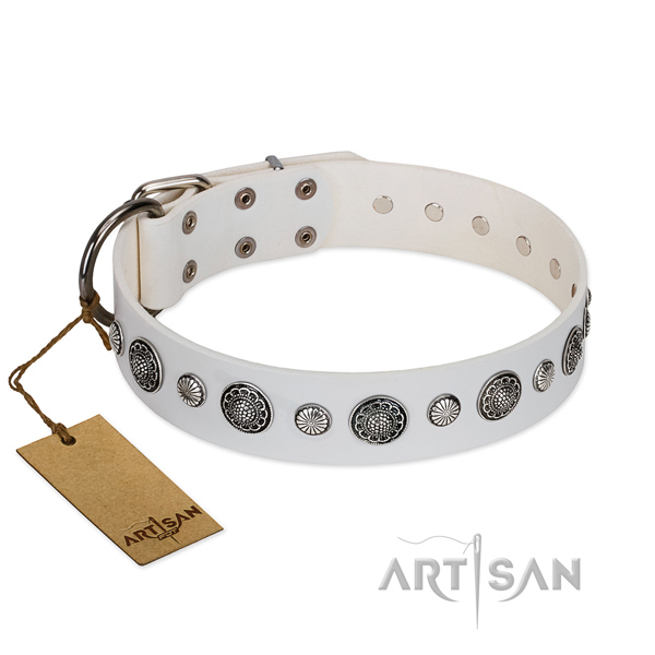 Top notch Full grain natural leather dog collar with rust resistant hardware