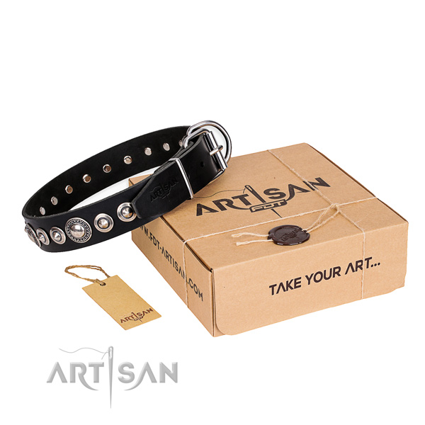 Fine quality full grain leather dog collar