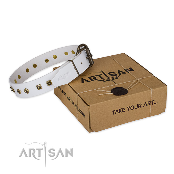 Reliable fittings on genuine leather dog collar for daily use