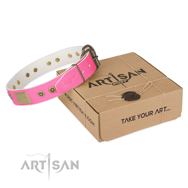 Rust-proof fittings on dog collar for everyday walking