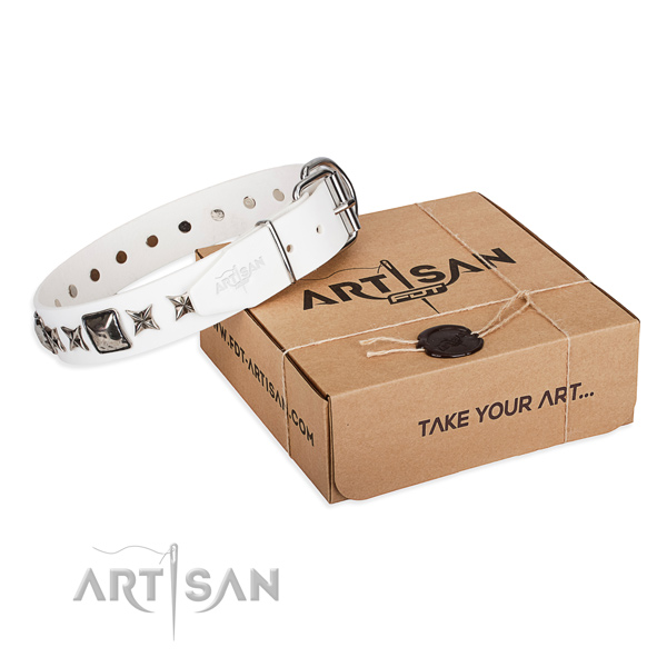 Stylish walking full grain genuine leather dog collar with embellishments
