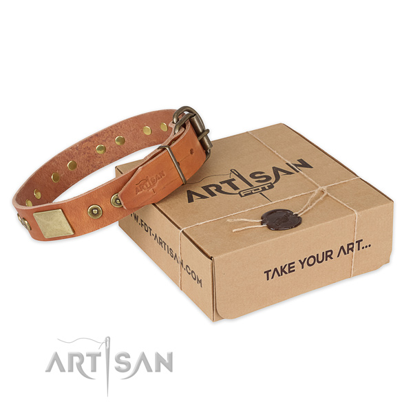 Durable traditional buckle on leather dog collar for fancy walking