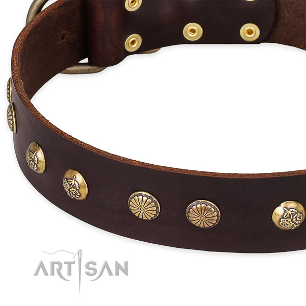 Full grain natural leather collar with strong fittings for your impressive doggie