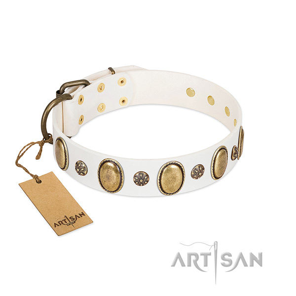 Stylish walking quality genuine leather dog collar with decorations