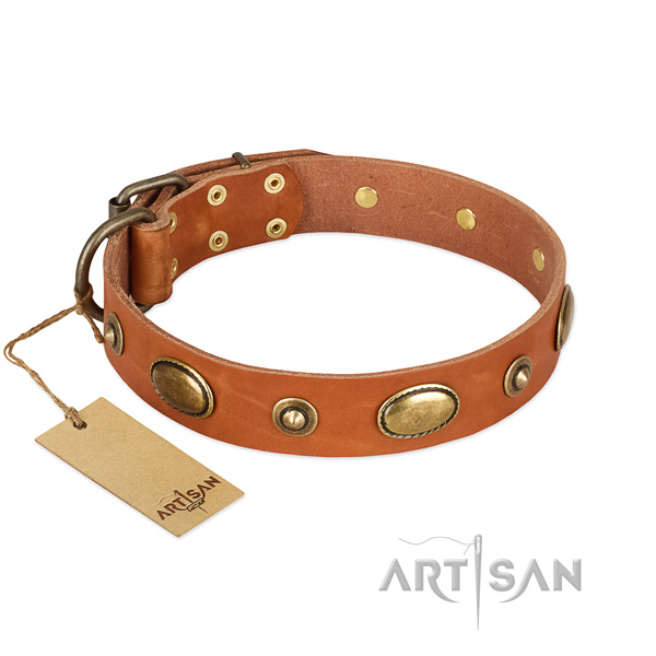 Extraordinary full grain natural leather collar for your four-legged friend