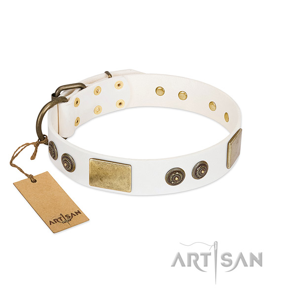 Top notch full grain leather dog collar for everyday walking