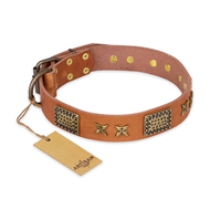 "Cosmic Traveller" FDT Artisan Adorned Leather dog Collar with Old Bronze-Plated Stars and Plates "Cosmic Traveller" FDT Artisan Adorned Leather dog Collar with Old Bronze-Plated Stars and Plates