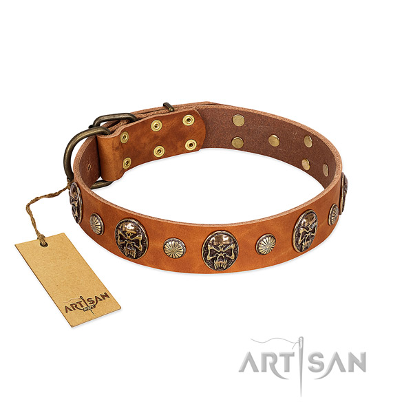 Perfect fit full grain genuine leather dog collar for daily walking