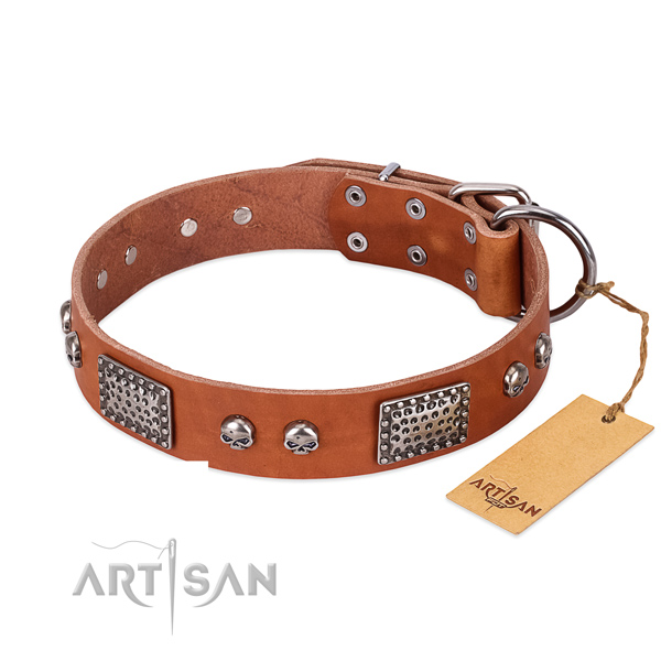 Easy to adjust genuine leather dog collar for walking your dog