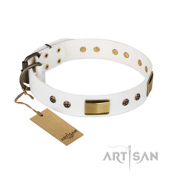 Stylish full grain natural leather collar for your doggie