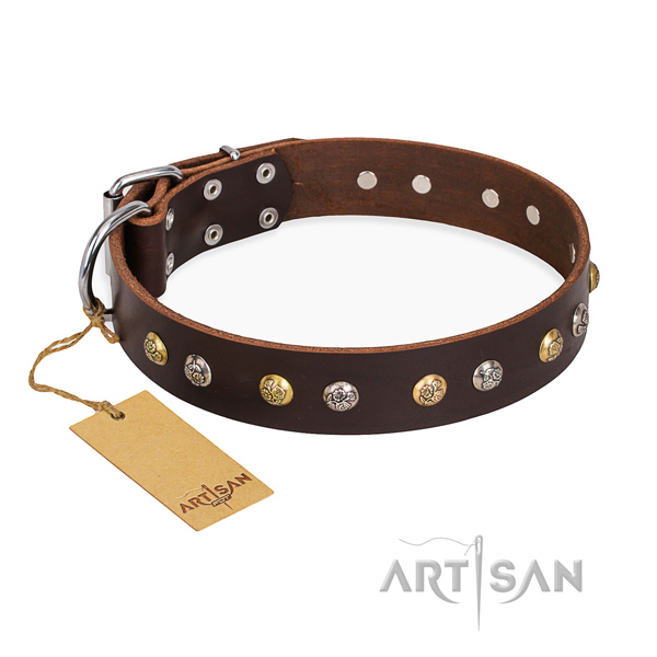 Walking adorned dog collar with corrosion proof hardware