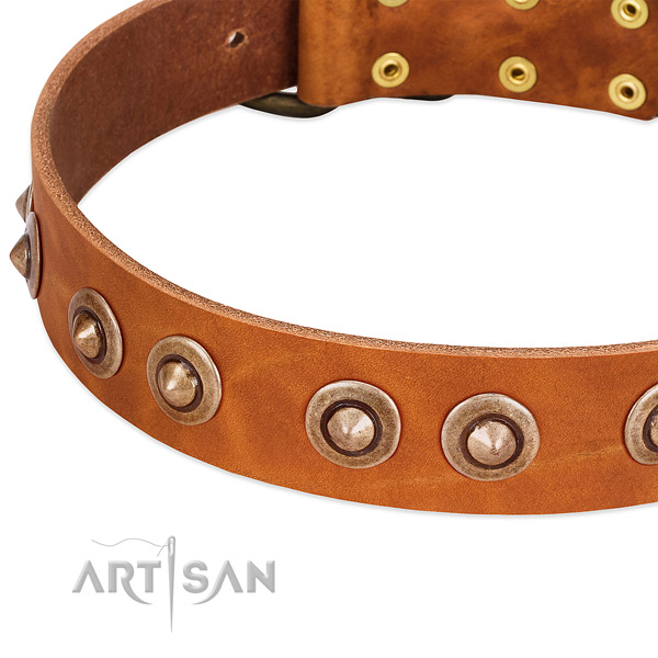 Corrosion proof traditional buckle on genuine leather dog collar for your dog