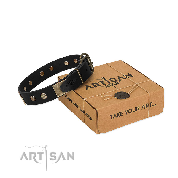 Rust-proof D-ring on dog collar for basic training
