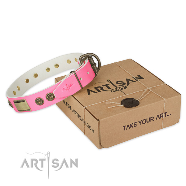 Rust-proof embellishments on dog collar for comfy wearing