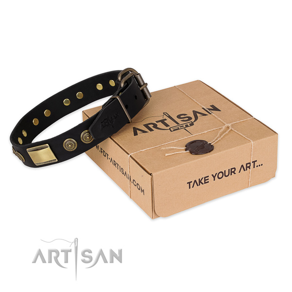 Rust-proof traditional buckle on full grain leather dog collar for walking