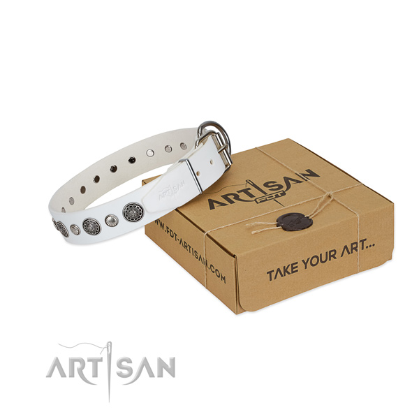 Full grain natural leather collar with rust-proof D-ring for your handsome canine