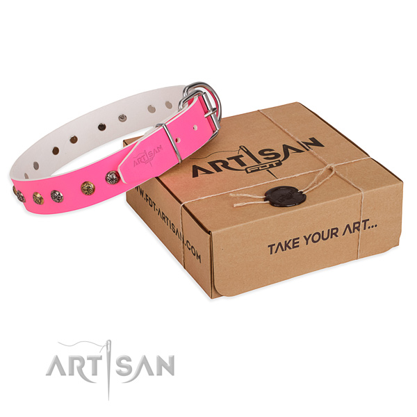 Stylish walking dog collar with Incredible strong studs