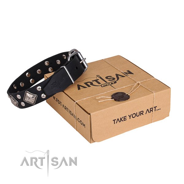 Stylish walking dog collar with Incredible strong studs