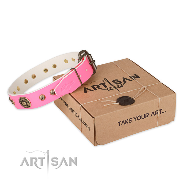 Corrosion proof buckle on full grain natural leather dog collar for walking