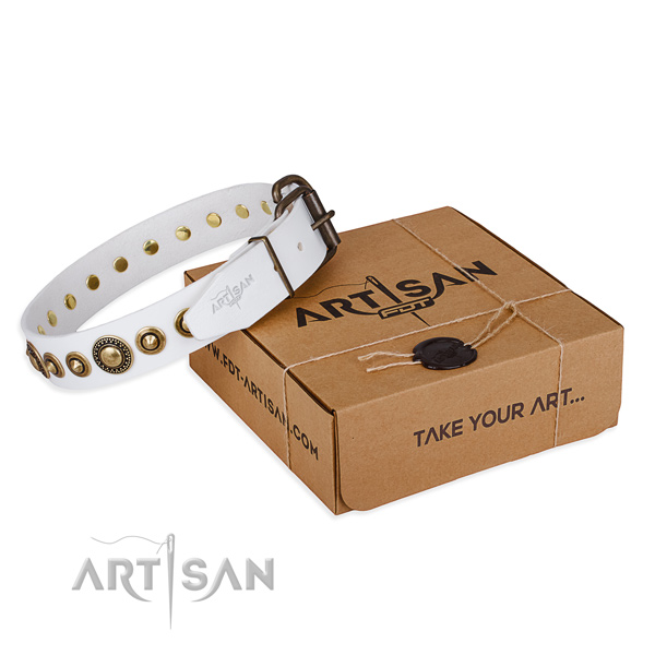 High quality full grain leather dog collar crafted for everyday use