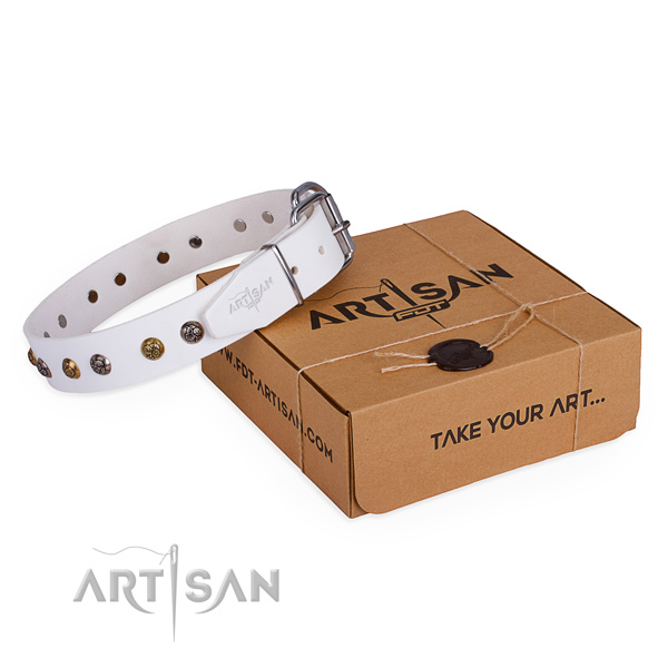 Walking dog collar with Awesome reliable decorations