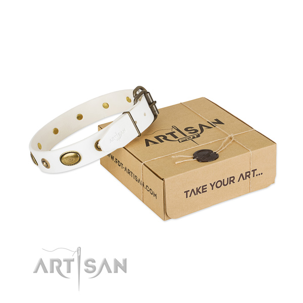 Comfortable full grain natural leather collar for your impressive canine