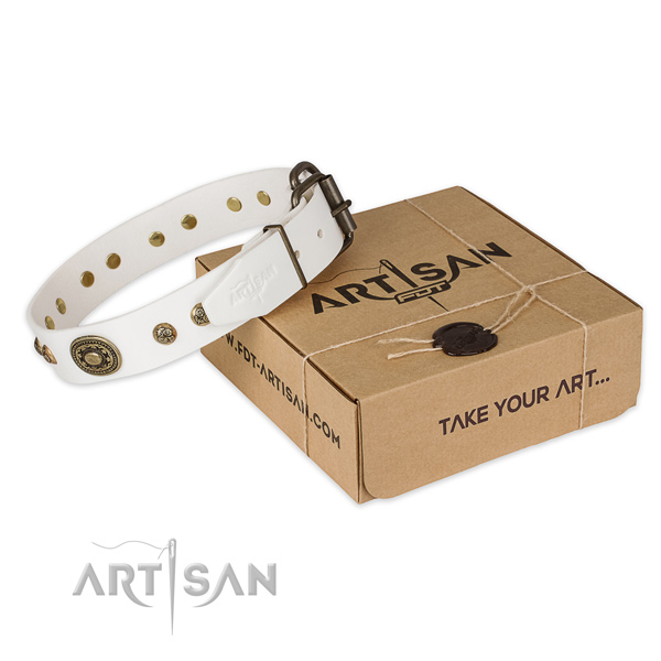 Corrosion proof traditional buckle on natural genuine leather dog collar for comfortable wearing
