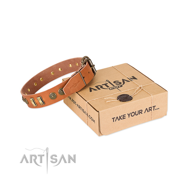 Corrosion resistant adornments on leather dog collar for your pet