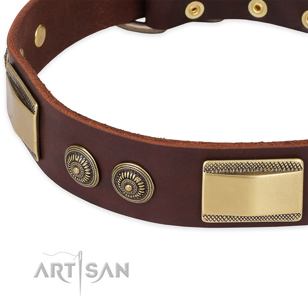 Strong embellishments on full grain natural leather dog collar for your dog