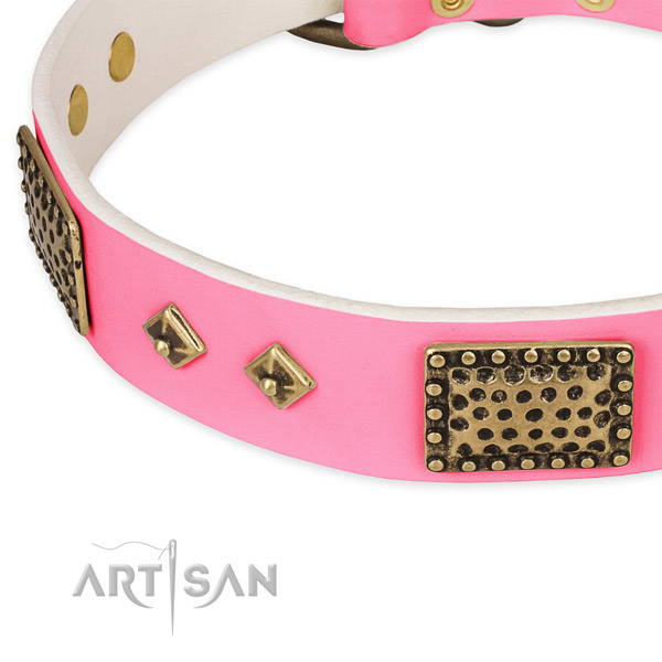 Natural genuine leather dog collar with embellishments for walking