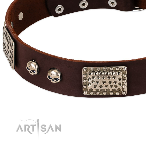 Durable fittings on full grain natural leather dog collar for your dog