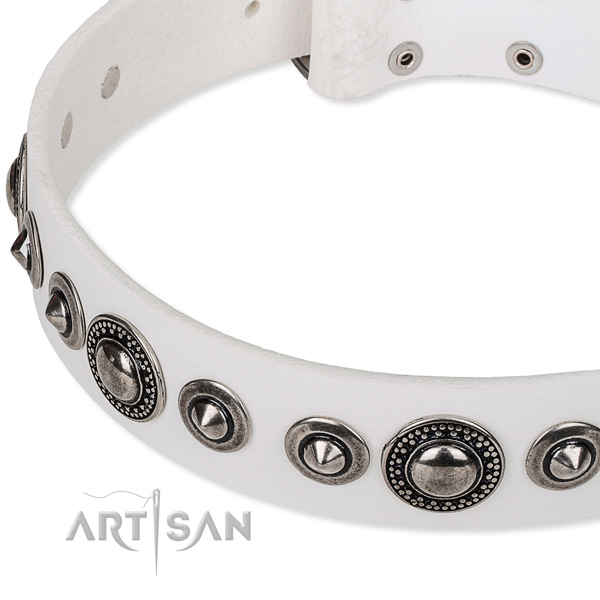 Comfy wearing decorated dog collar of high quality full grain leather