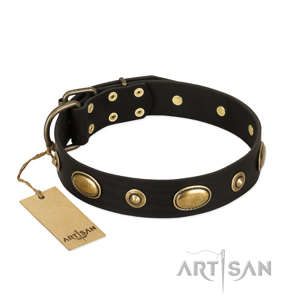 Embellished leather collar for your pet