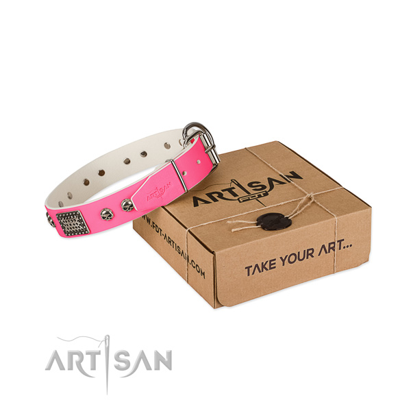Durable D-ring on dog collar for walking