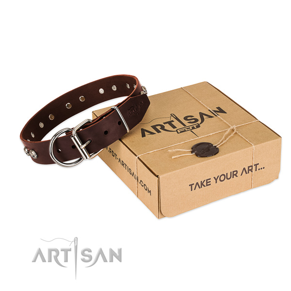Rust resistant fittings on dog collar for daily walking
