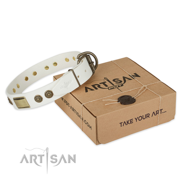 Rust-proof hardware on full grain natural leather dog collar for everyday use