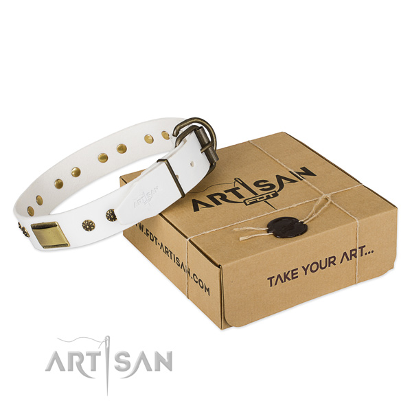 Extraordinary full grain leather collar for your attractive dog