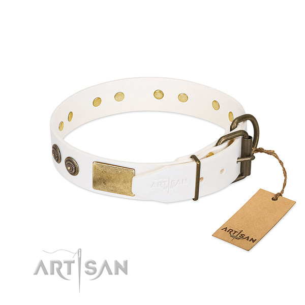 Strong hardware on natural genuine leather collar for walking your four-legged friend