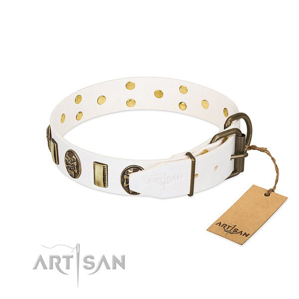 Corrosion resistant buckle on leather collar for basic training your dog