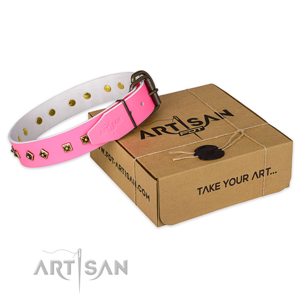 Rust-proof traditional buckle on genuine leather dog collar for comfortable wearing