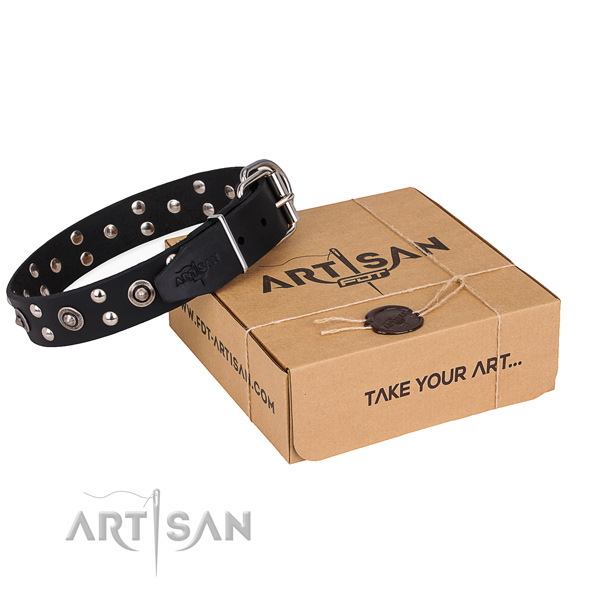 Comfortable wearing dog collar with Significant strong embellishments