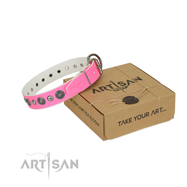 Leather collar with corrosion resistant fittings for your attractive dog