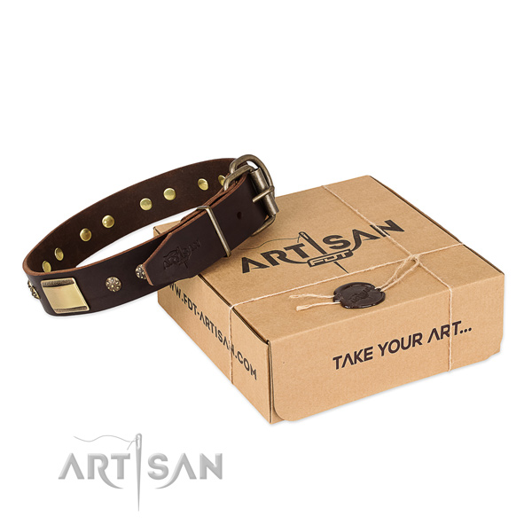 Incredible full grain leather collar for your beautiful canine
